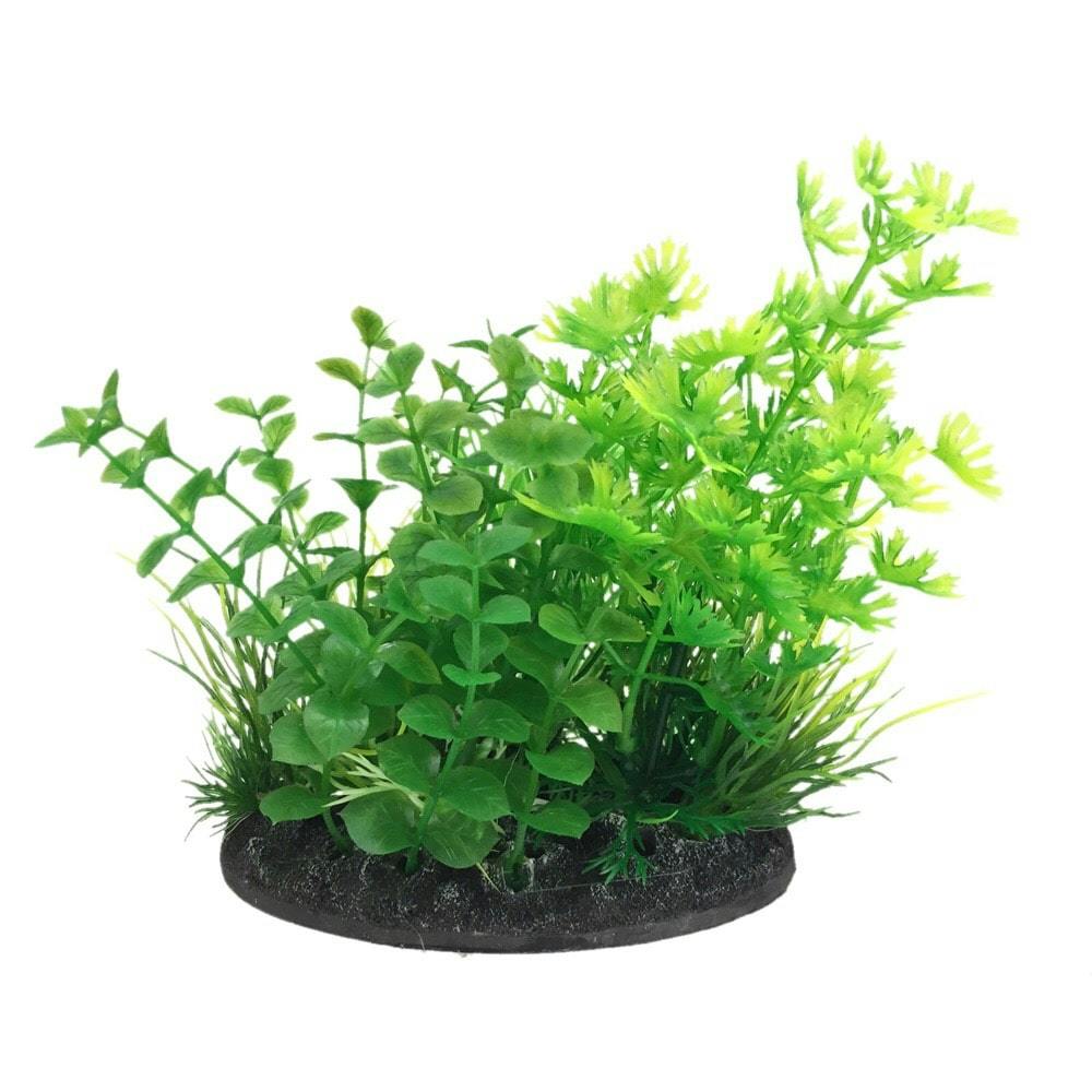 GEX 癒し水景 MIXプランツ L ロタラ | 水中生物用品・水槽用品 通販