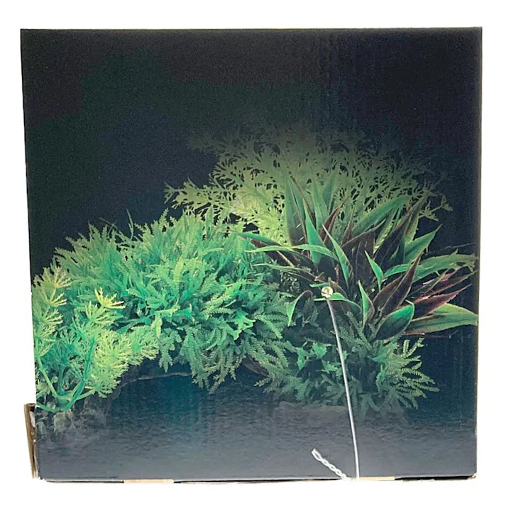 GEX 癒し水景 アクアキャンバス アーチ(販売終了)
