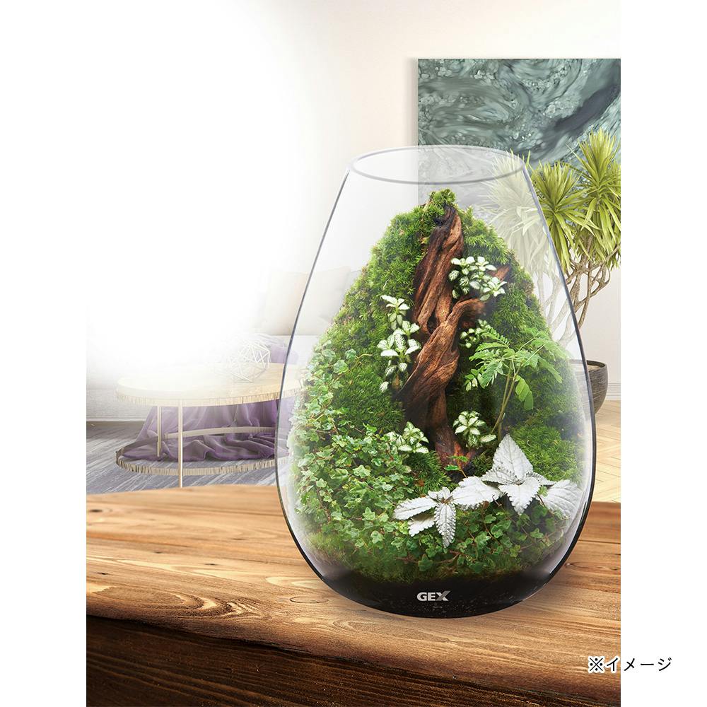 専用 キャンドル6点 LED ミニキャンドルライトセット | ゼネラルストア オルネ