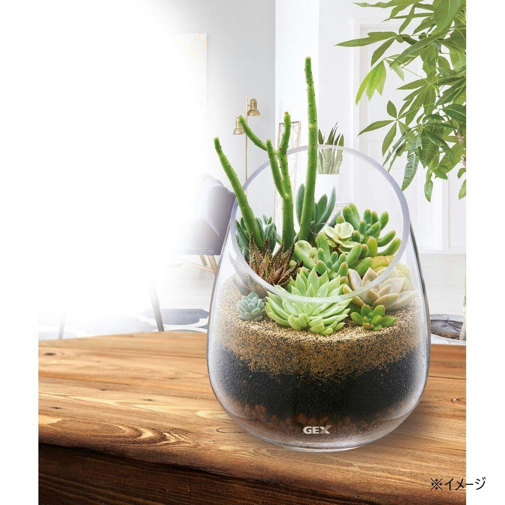 GEX グラスアクアリウム スロープ 水草インテリア ガラス製 | 水中生物