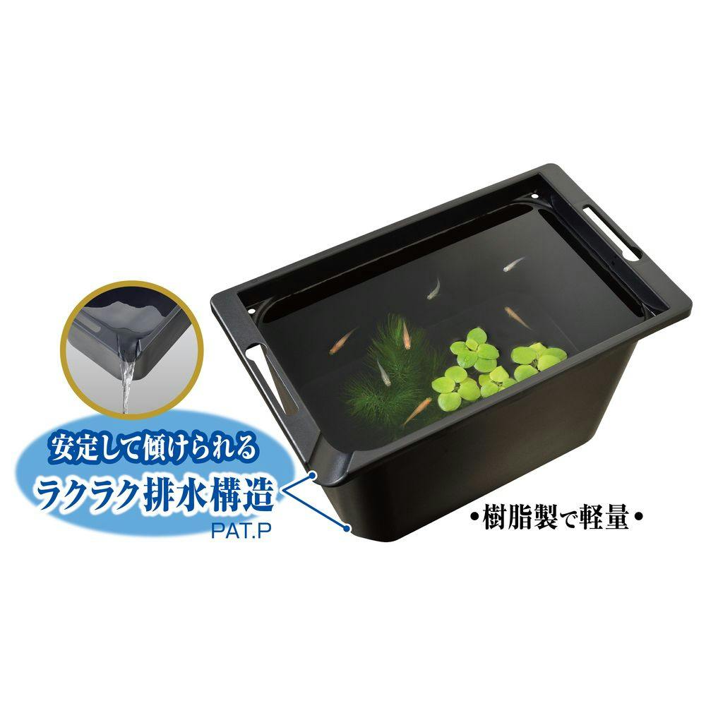 GEX メダカ元気 メダカのための飼育箱 黒350 | 水中生物用品