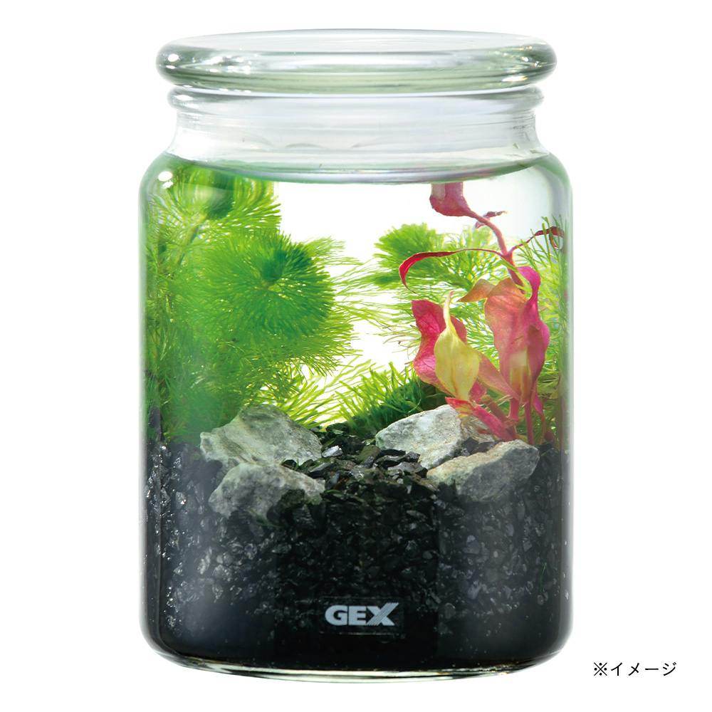 ボトリウム ネイチャーセット ブラック | 水中生物用品・水槽用品 通販