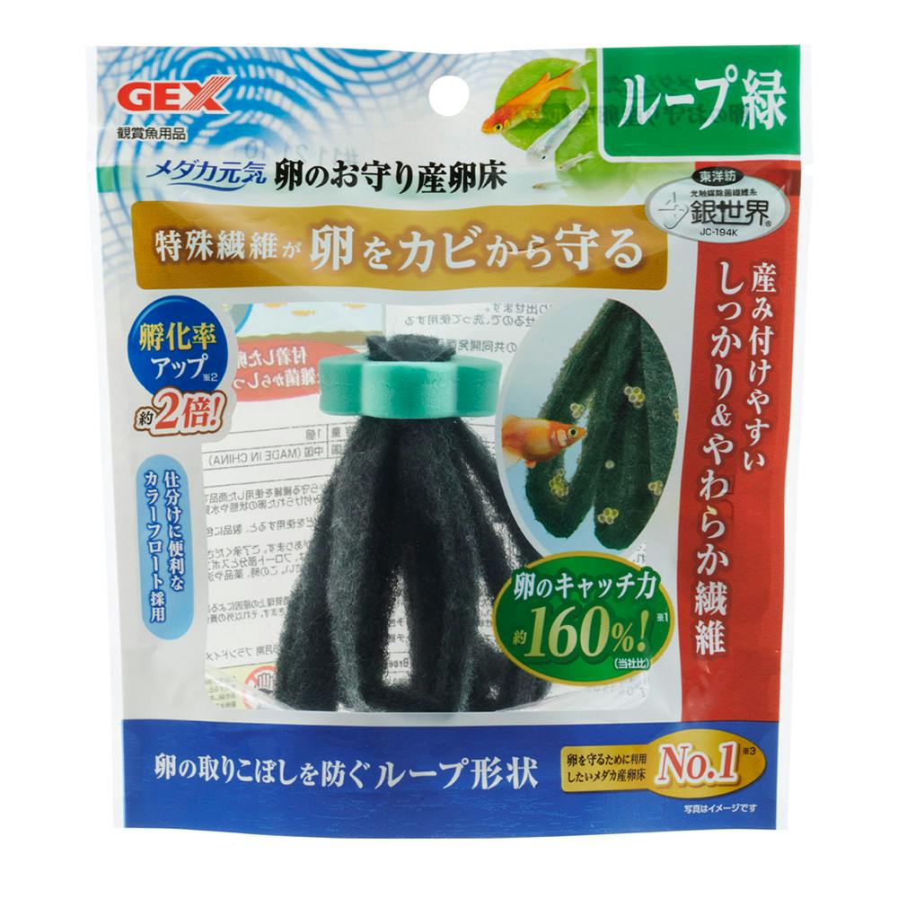 メダカ元気卵のお守り産卵床ループ緑 | 水中生物用品・水槽用品 通販 | ホームセンターのカインズ