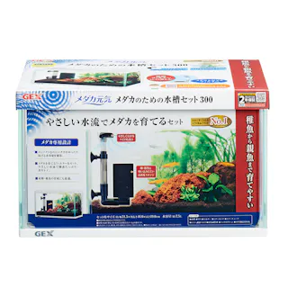 メダカ元気メダカの水槽セット300