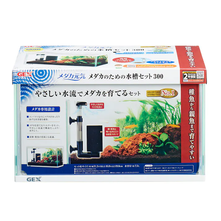 メダカ元気メダカの水槽セット300