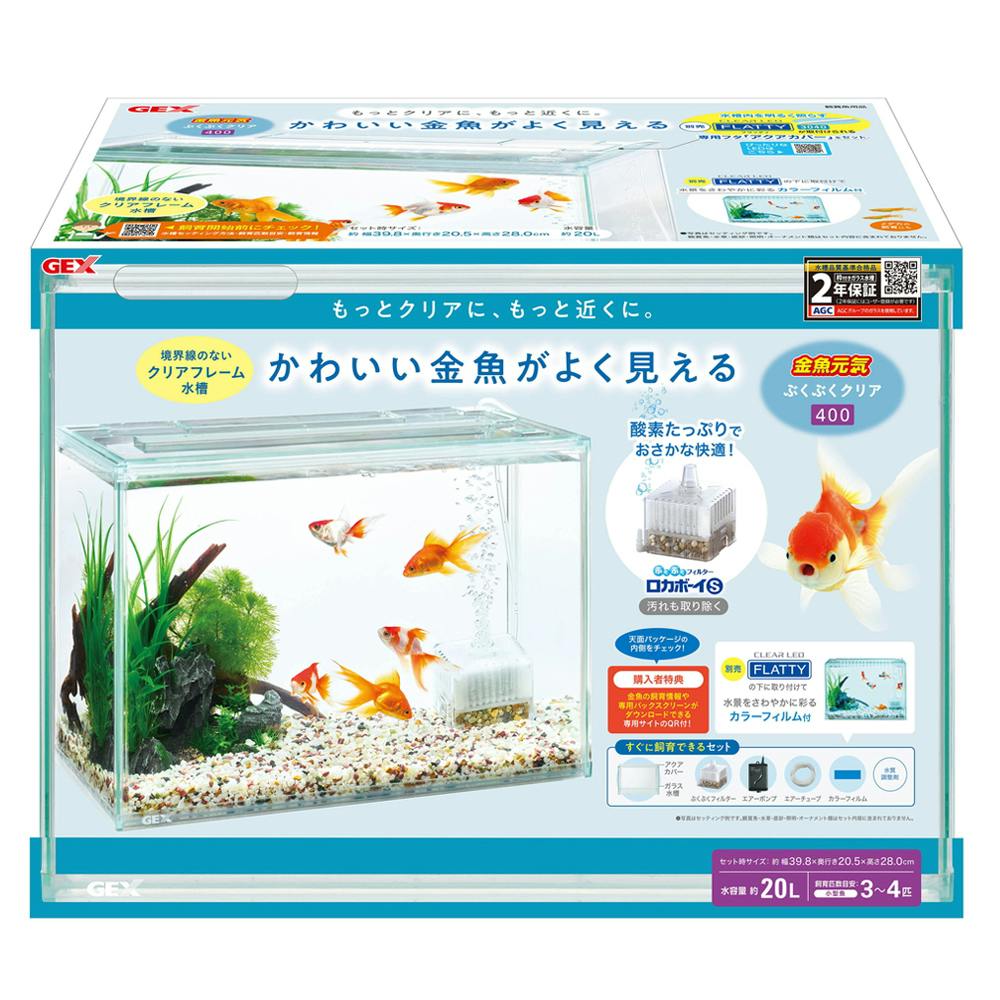 激レア！タカラガイ10個 博物館 コレクション インテリア 置物