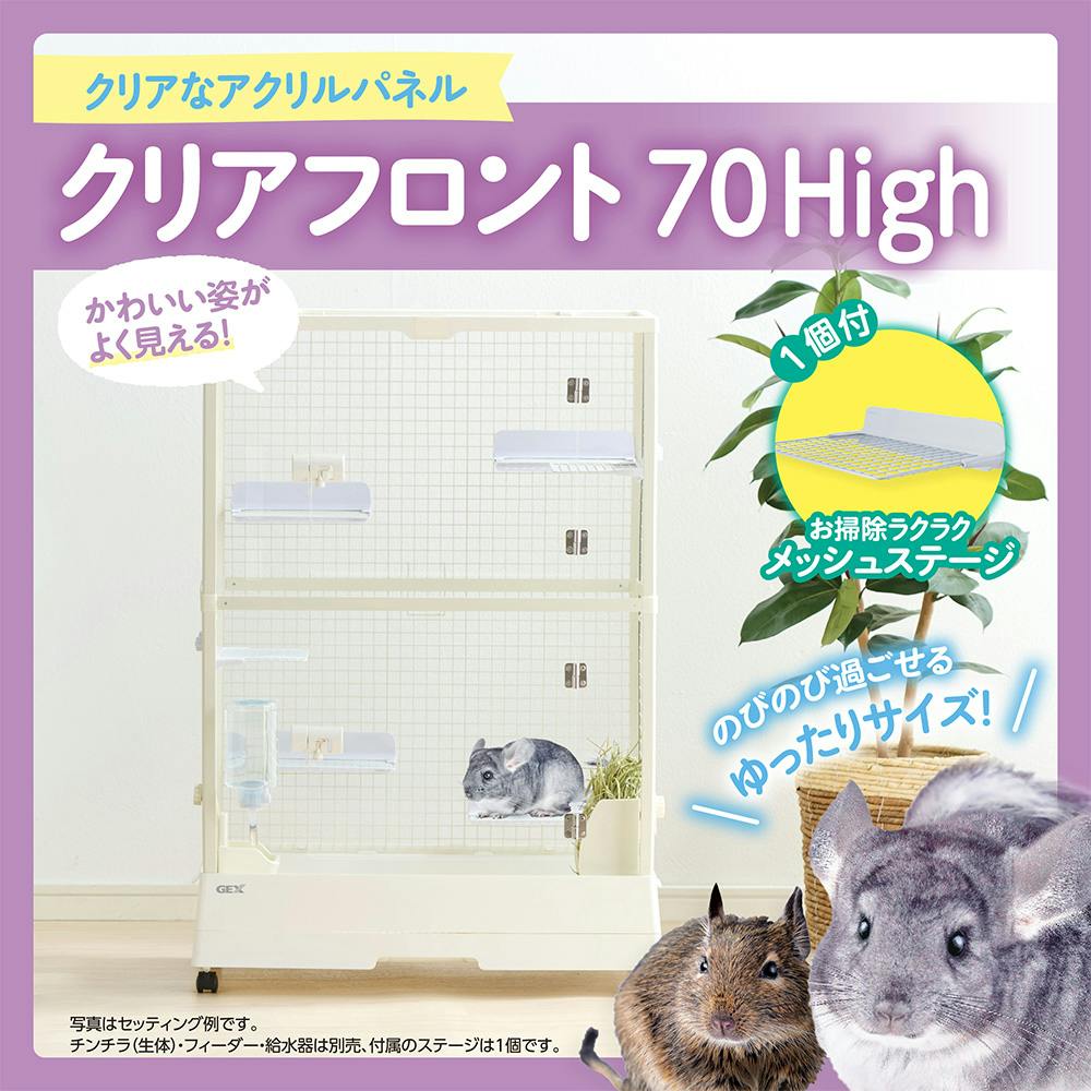 超珍品！ カイラス産 コーンタイプドルージーとクリアポイント クリアフロント70High | ペット用品（小動物・鳥・亀・爬虫類） 通販