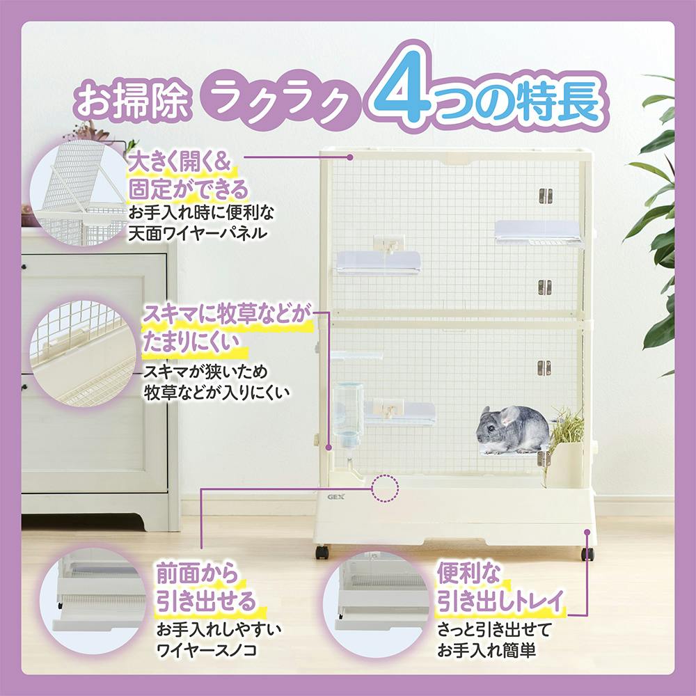 超珍品！ カイラス産 コーンタイプドルージーとクリアポイント 超珍品！ カイラス産 コーンタイプドルージーとクリアポイント 超珍品