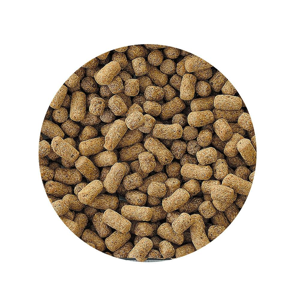 カメ元気 ごちそうごはん 特大粒 500g | ペット用品（小動物・鳥・亀