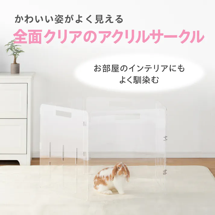 ラビング クリアサークル