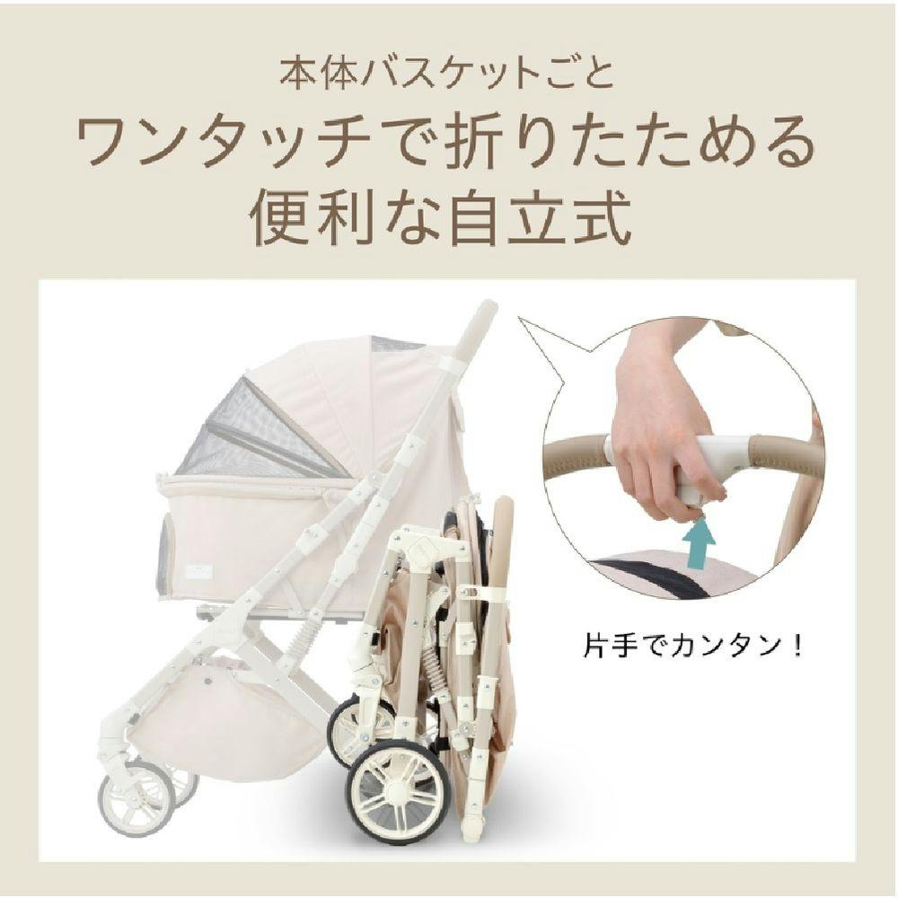 A・ロート、GRASSE~DEJEUNER、海外版超希少レゾネ、新品額付 A・ロート、GRASSE~DEJEUNER、海外版超希少レゾネ、新品額付