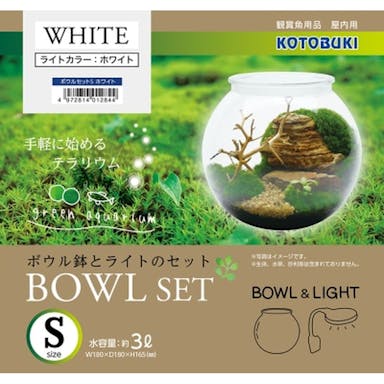 コトブキ ボウル鉢とライトのセット S ホワイト(販売終了)