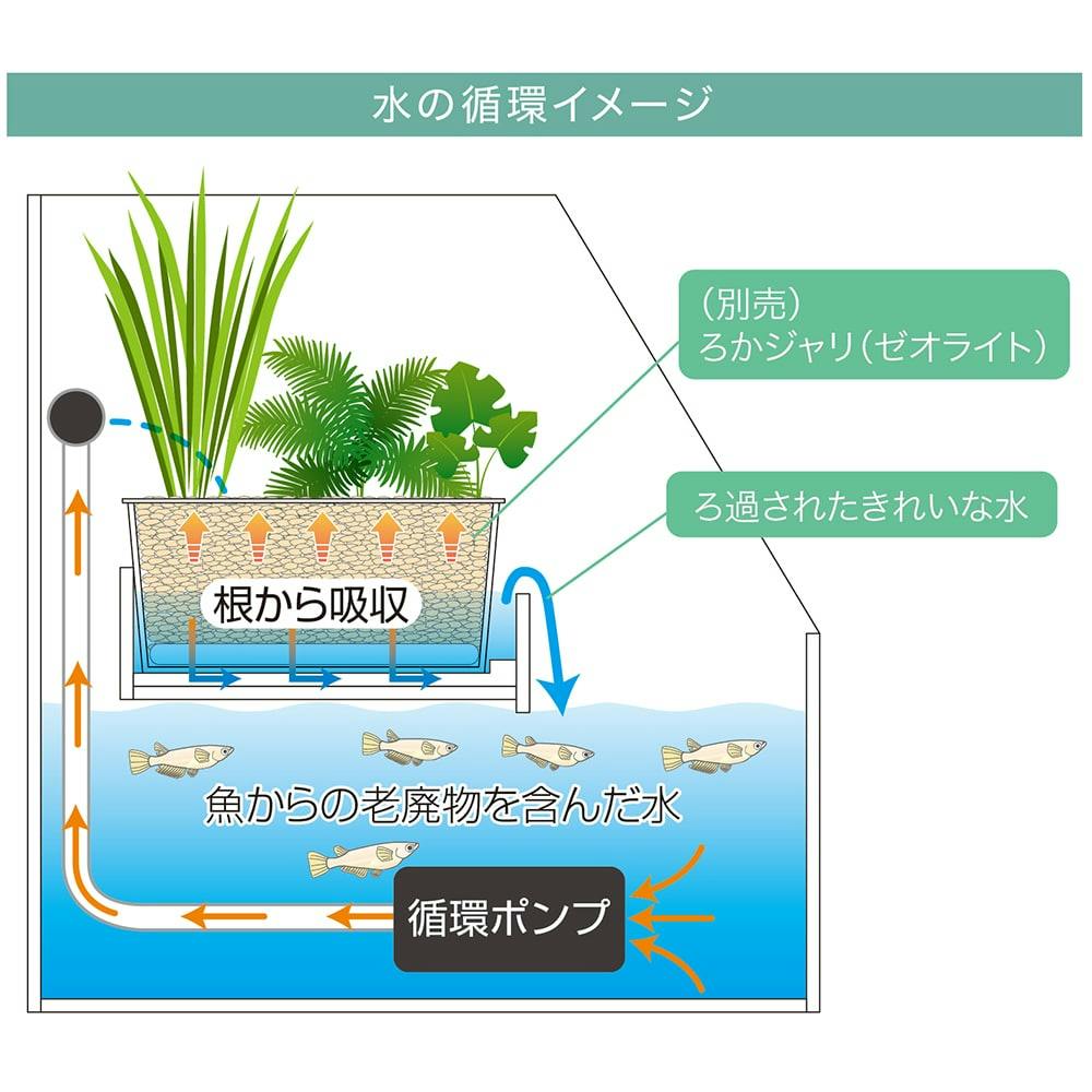 レグラスポニックス300セット(販売終了) | 水中生物用品・水槽