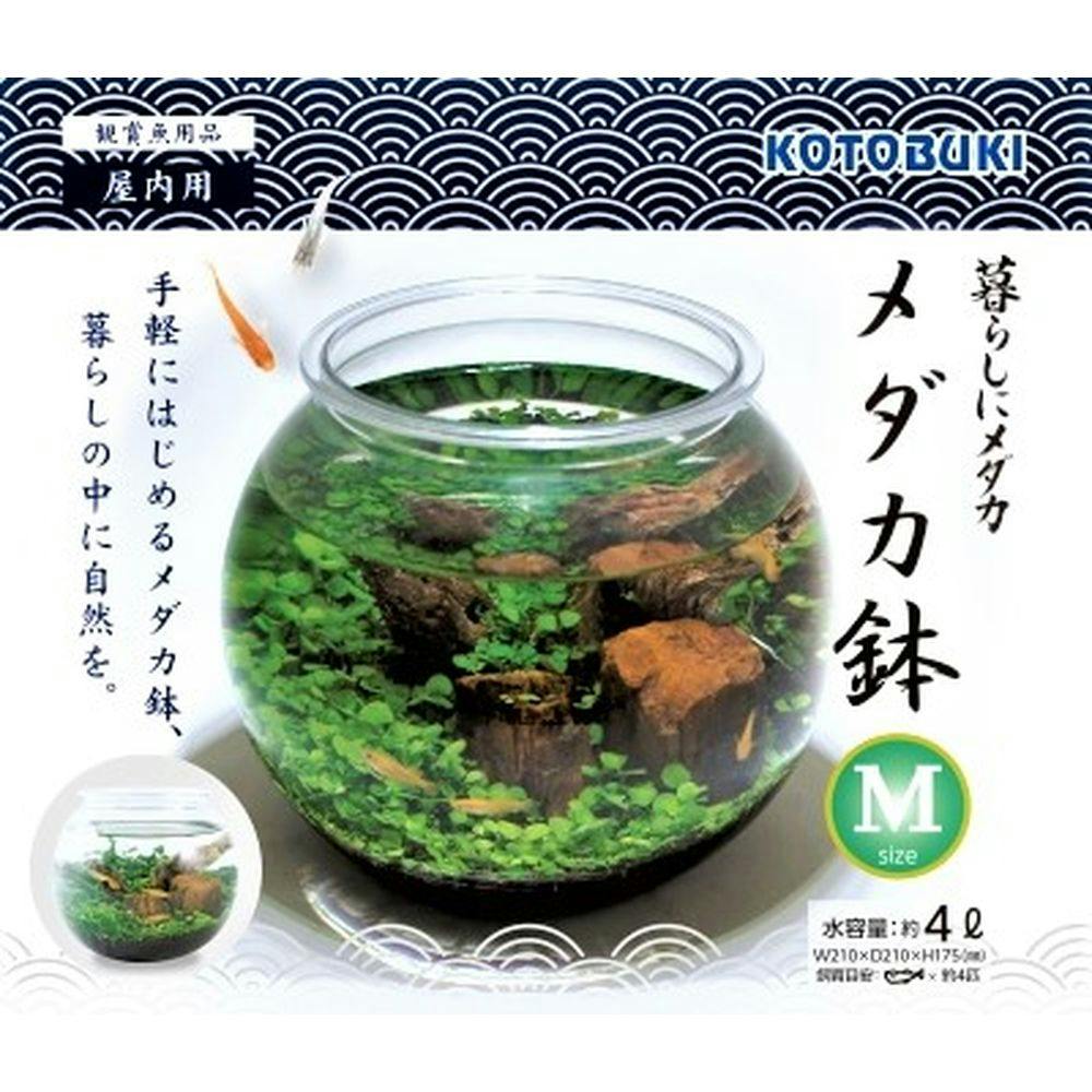 コトブキ 暮らしにメダカ メダカ鉢 M(販売終了) | 水中生物用品