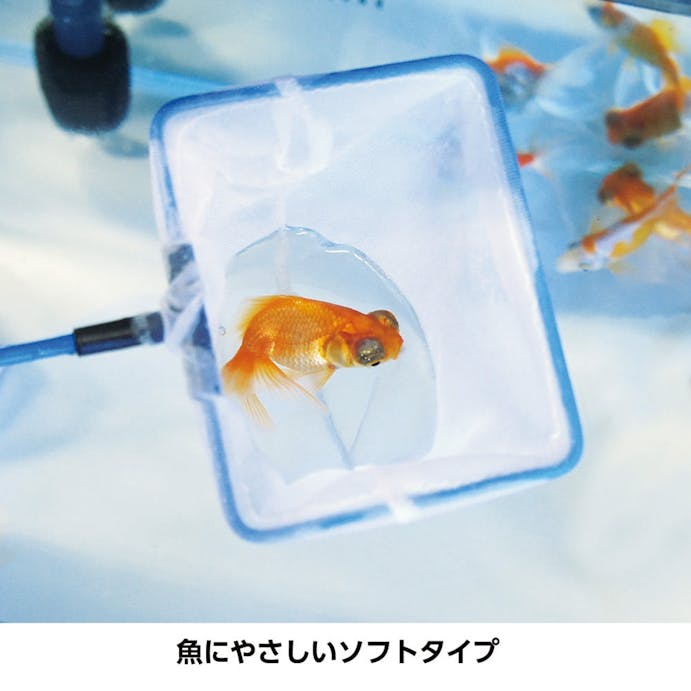 【アクアキャンペーン対象】観賞魚用ネット M 荒目 コケ取り付 K-202