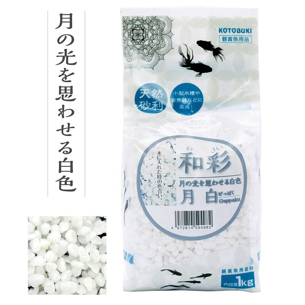 コトブキ 観賞魚用底石 和彩 月白 1kg | 水中生物用品・水槽用品