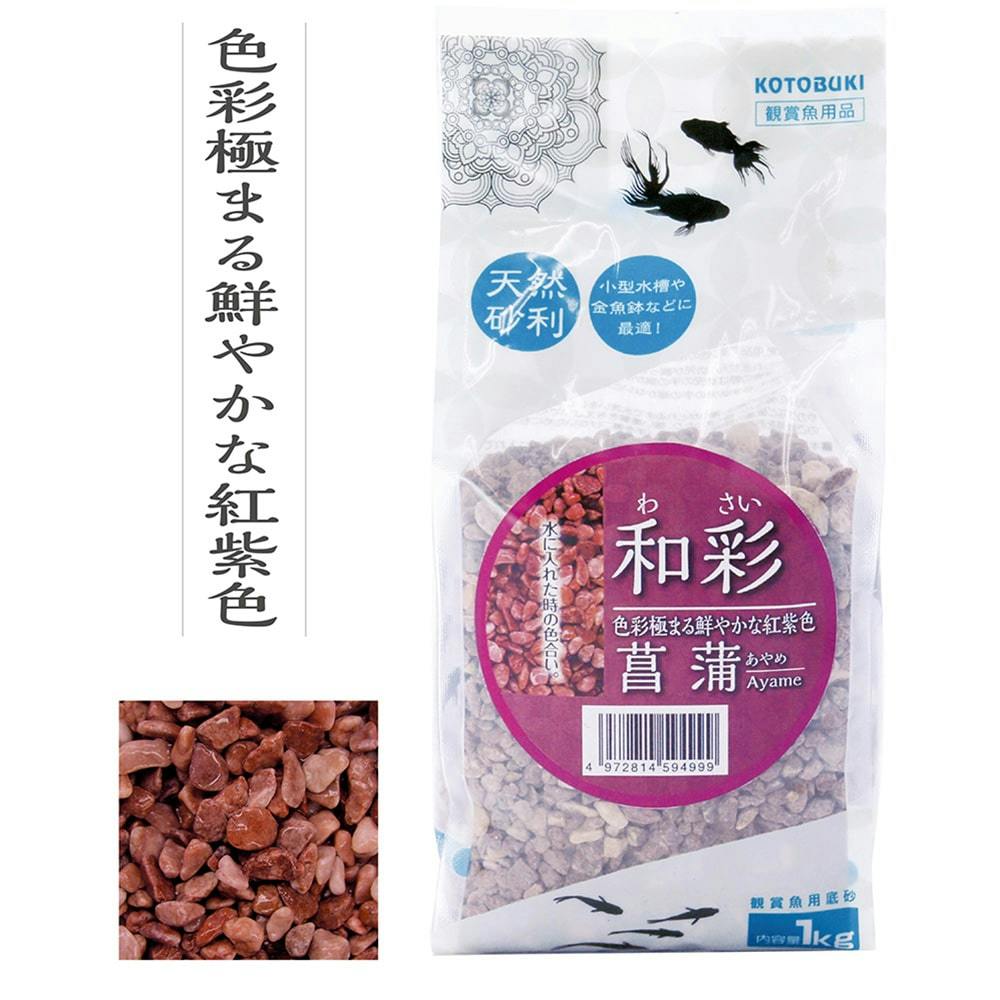 観賞魚用　ブクブク5点セット ニッソー お魚飼育ブクブク 5点セットの通販｜ホームセンター