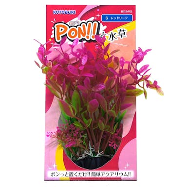 【アクアキャンペーン対象】PON-S レッドリーフ