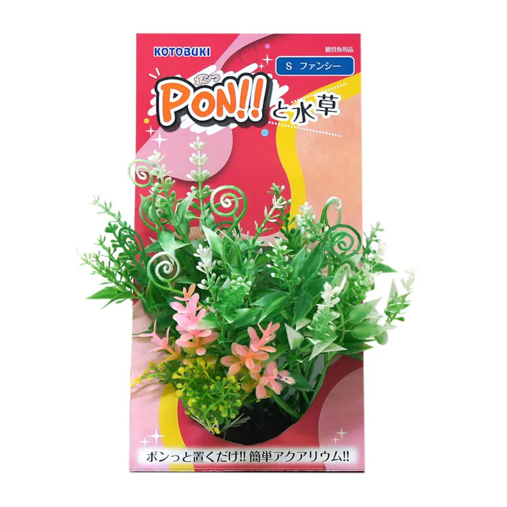PON-S ファンシー