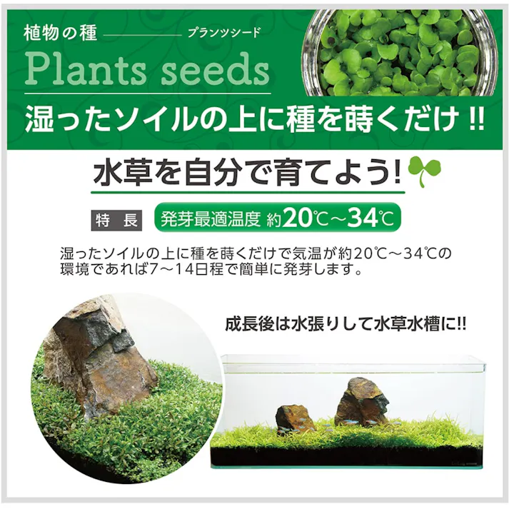 プランツシード ハイグロ SPタイガー