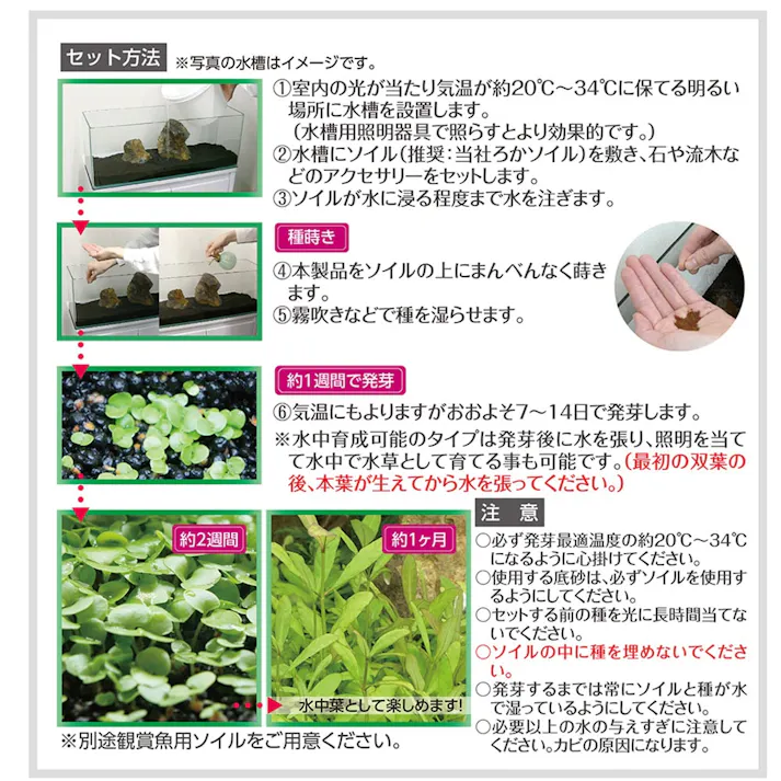 プランツシード ハイグロ SPタイガー