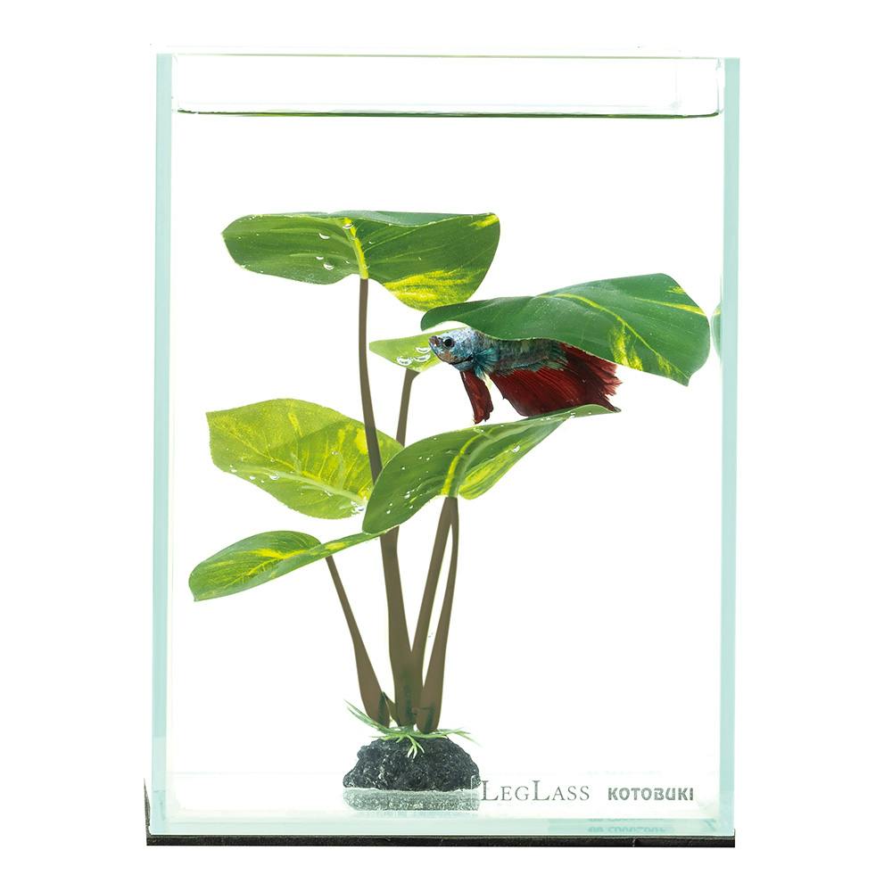 ベタの水草 スタンドタイプ | 水中生物用品・水槽用品 通販 ベタの水草 スタンドタイプ | 水中生物用品・水槽用品 通販