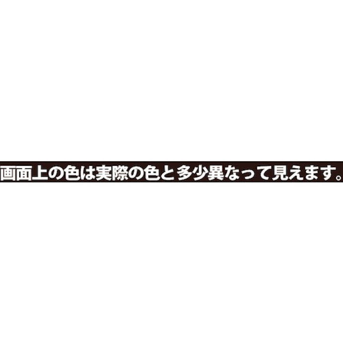 【CAINZ-DASH】カンペハピオ カンペ　油性トタン用３Ｌコーヒーブラウン 00147645441030【別送品】