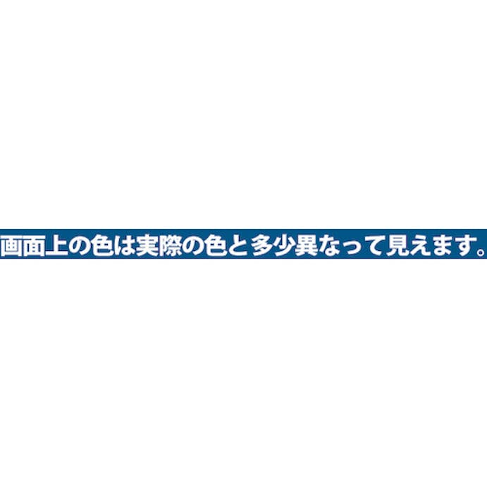 【CAINZ-DASH】カンペハピオ カンペ　油性トタン用３Ｌスカイブルー 00147640641030【別送品】