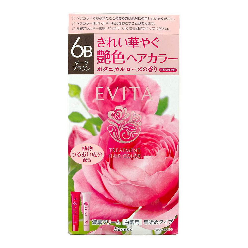 カネボウ エビータ トリートメントヘアカラー 6B 90g 白髪染め カネボウ エビータ トリートメントヘアカラー 6B 90g 白髪染め