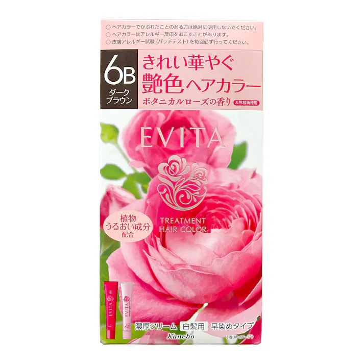カネボウ エビータ トリートメントヘアカラー 6B 90g