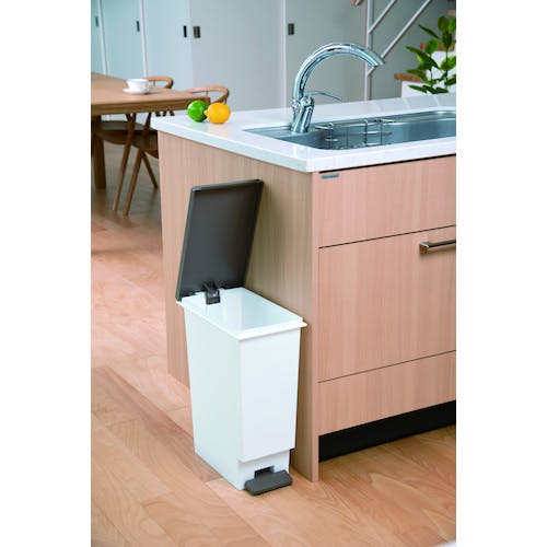 CAINZ-DASH】新輝合成 消臭スリムペダル20型 02009【別送品