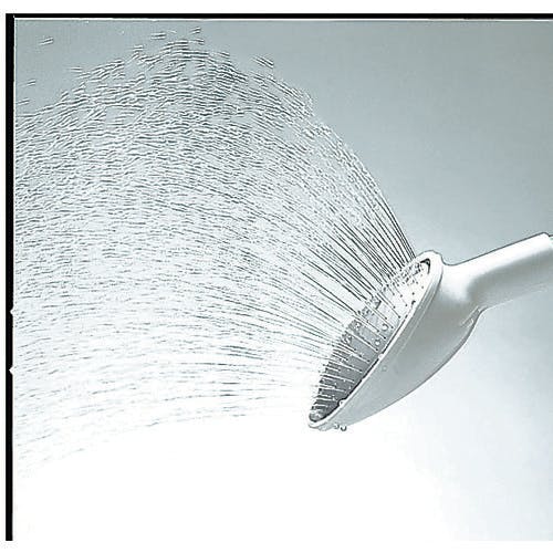 ペンギン様　斑尾　入道Hiyodori 稲光〜青〜　金爪　牙城ブラス　４号5個 埼玉産 青雅錦 a1 11cm 希少個体 地金とブリストル朱文金の交配