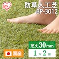 【CAINZ-DASH】アイリスオーヤマ ５３５７４５防草人工芝　１０００ｍｍ×２ｍ BP-3012【別送品】