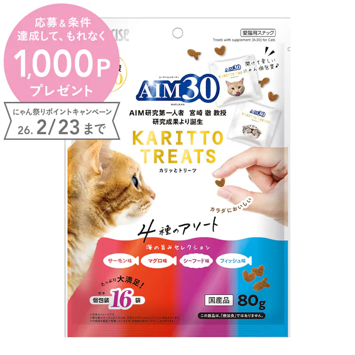 AIM30 カリッとトリーツ 4種アソート海の旨み