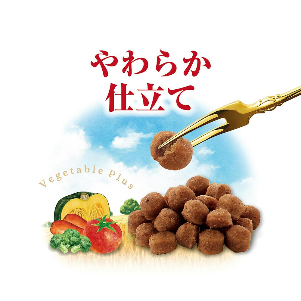 ミンチスペシャル 無添加 チキン＆野菜入り 成犬用 1.7kg
