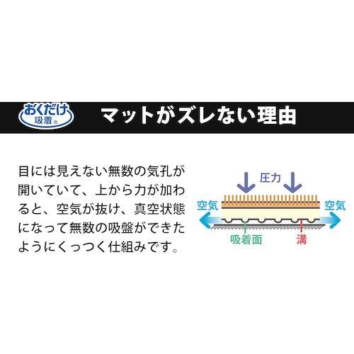 CAINZ-DASH】サンコー 吸着蓄光階段マット KO-22【別送品】 | 清掃