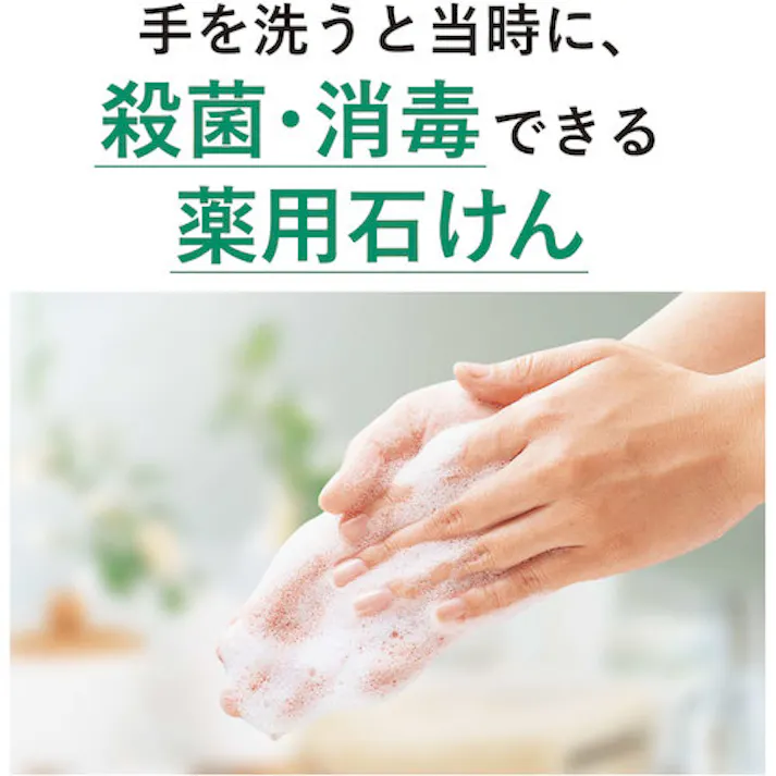 【CAINZ-DASH】サラヤ 手洗い石けん液 シャボネットP-5 5kg 30827【別送品】