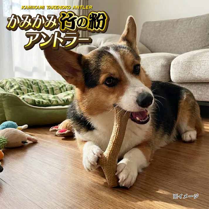 かみかみ竹の粉アントラー M