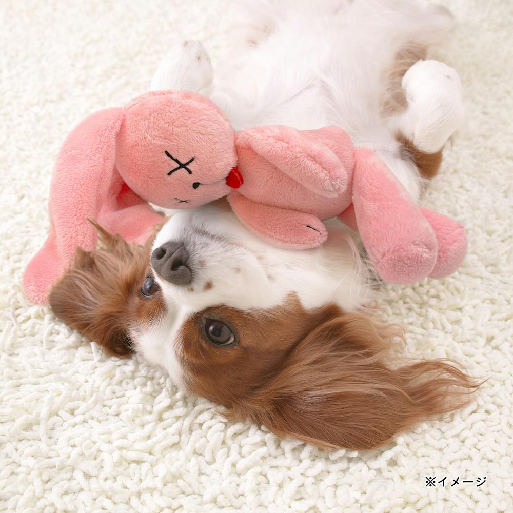 Kutakuter's うさぎ | ペット用品（犬） 通販 | ホームセンターのカインズ