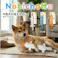 nobichatta ラッコ
