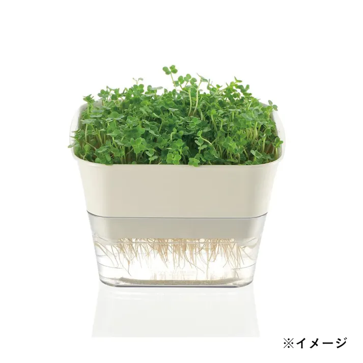 スプラウトファーム 12型N アイボリー