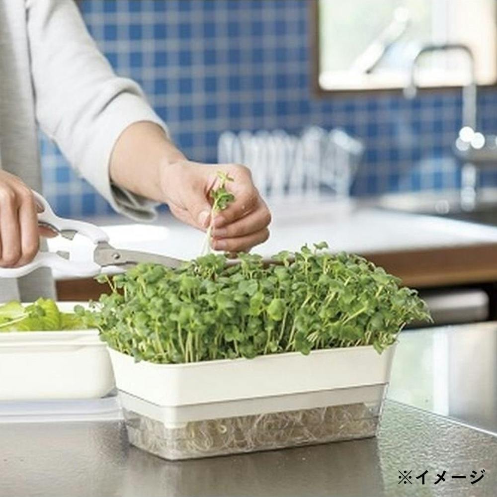 sprout出品 Automatic Bean Sprouts Machine Thermostat 2 Layer Bean