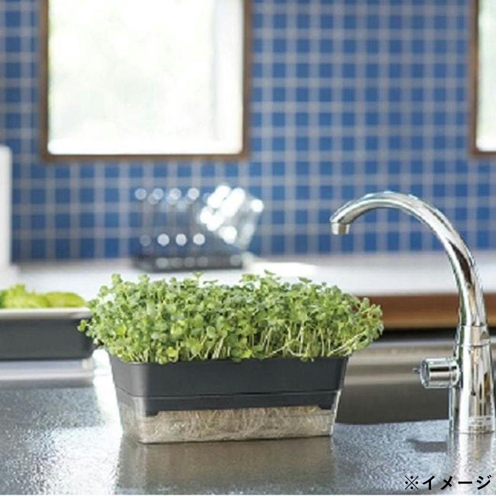 スプラウトファーム 24型N ダークグレー | 鉢・プランター・花台