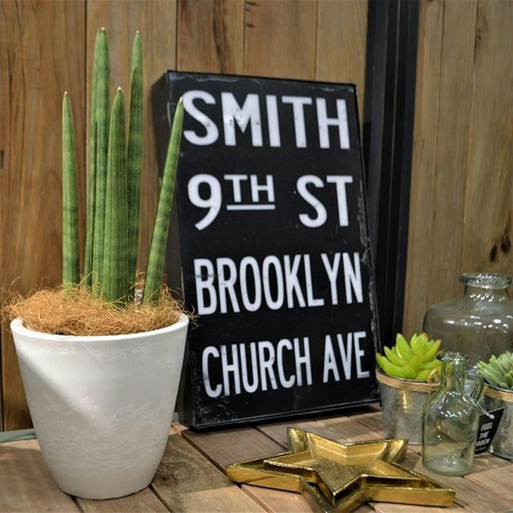 ボタニー プレーンポット 15型 ホワイト