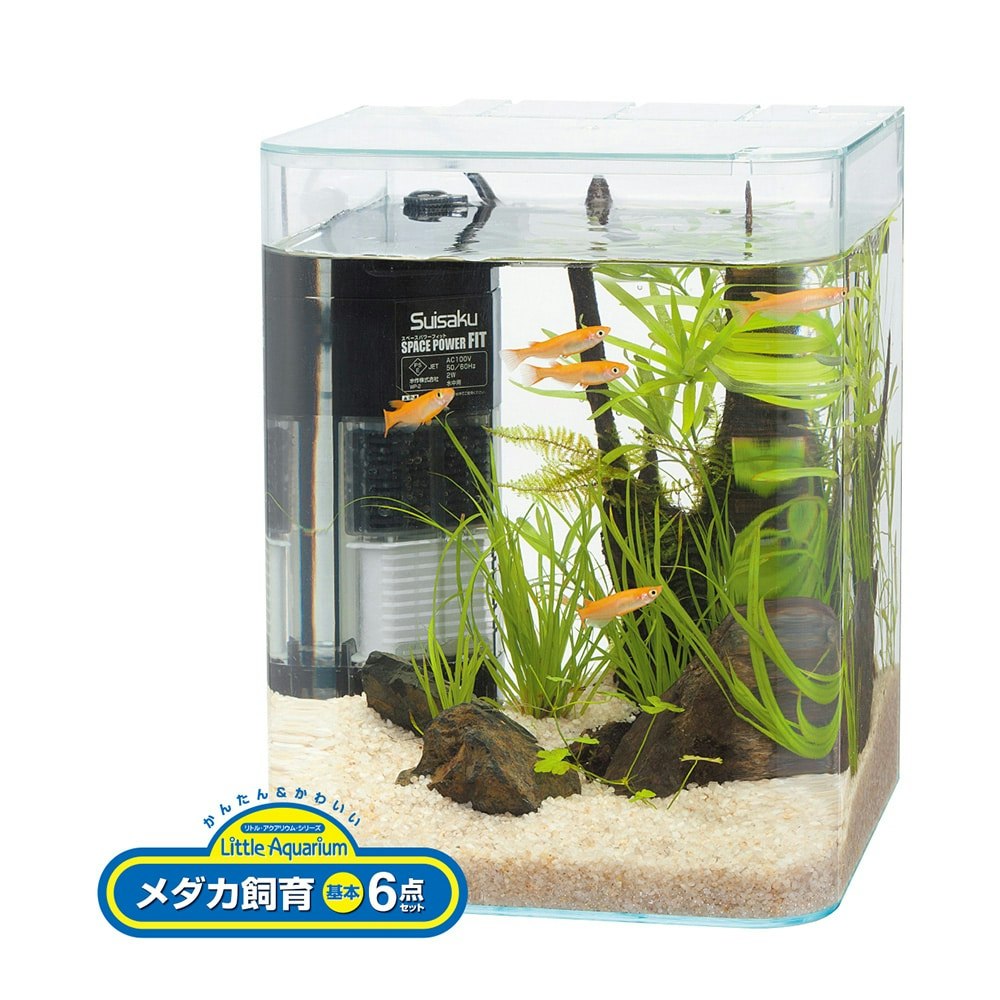 水作 リトルアクアリウム メダカ飼育6点セット(販売終了) | 水中生物用品・水槽用品 | ホームセンター通販【カインズ】