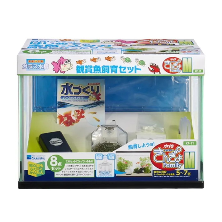 きんぎょファミリー M KF-11