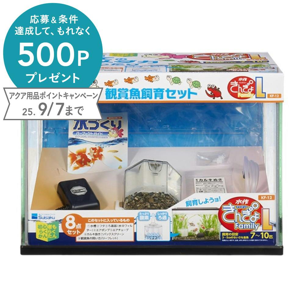 混沌魚 12枚セット 1Box10Pack入り】Z/X -Zillions of enemy X- 第43弾 渾沌竜姫編