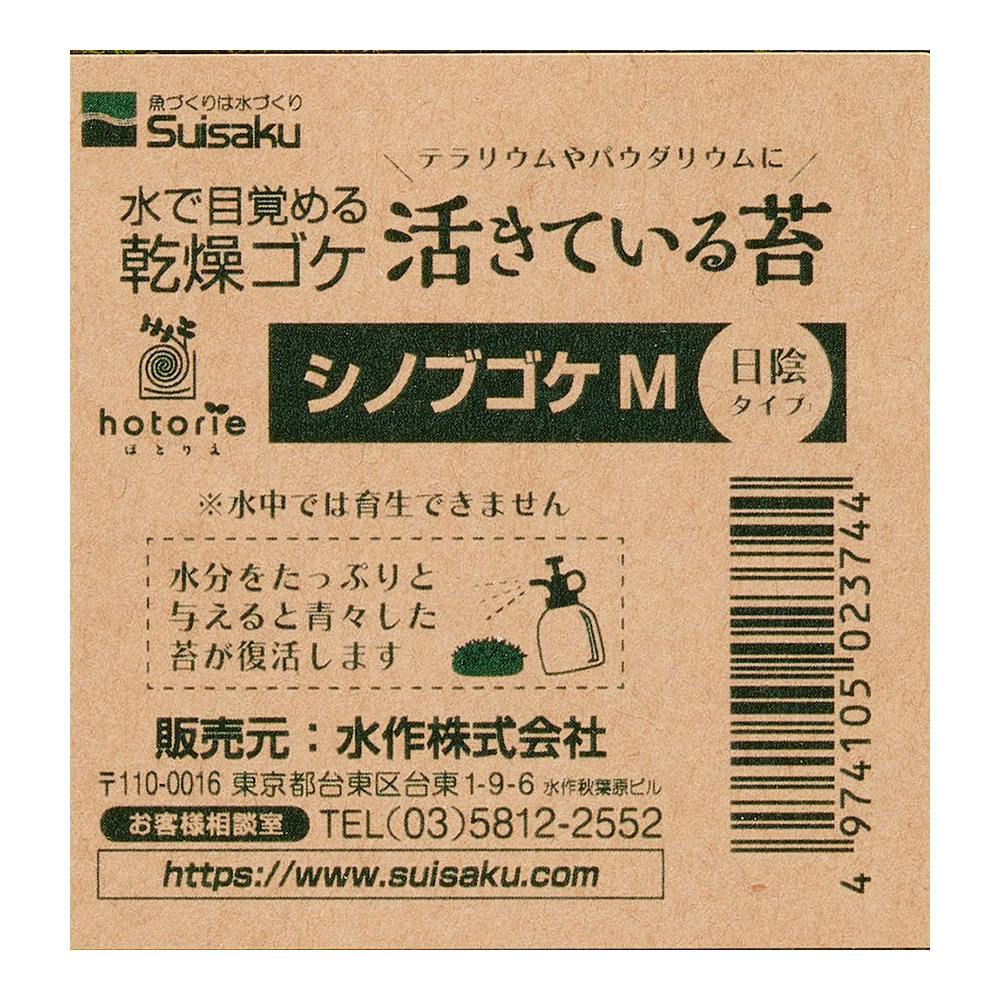 puyozou　シノブゴケ puyozou シノブゴケ 活きている苔 シノブ | 花＆グリーン 通販