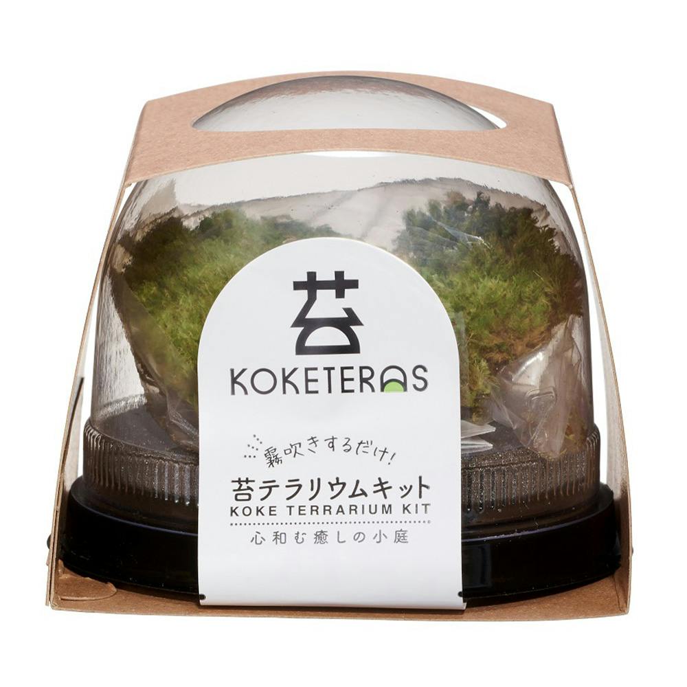 SOKONIWA コケテラス 苔テラリウムキット | 花＆グリーン 通販
