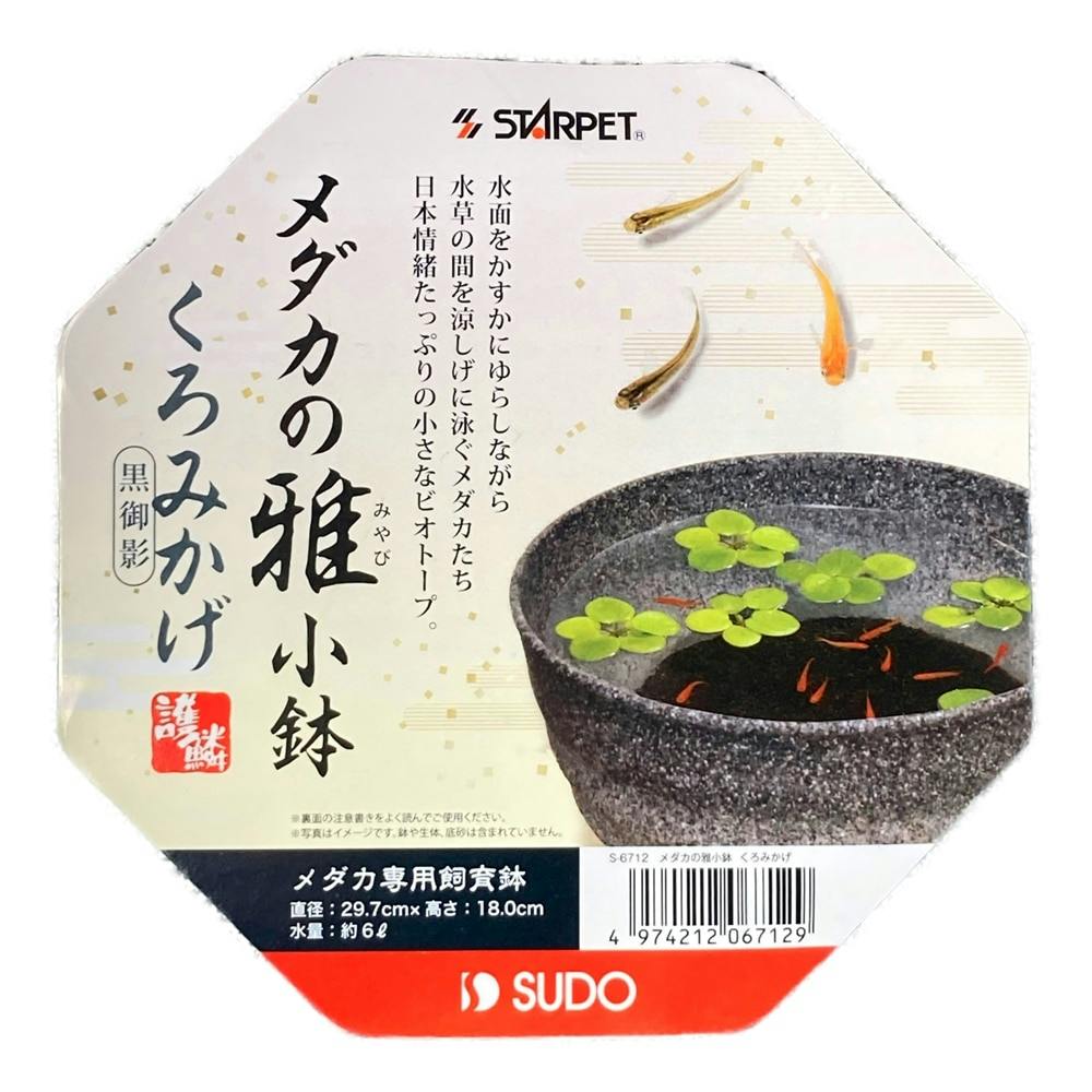 独特の素材 スドー メダカの角小鉢 わすみ 税込11,000円以上で送料無料 北海道 沖縄 一部地方除く